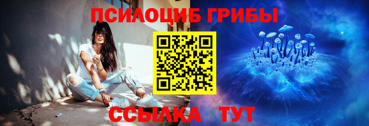 Псилоцибиновые грибы Psilocybine cubensis  где найти наркотики  Галлюциногенные грибы Cubensis  Людиново  Вход с VPN 